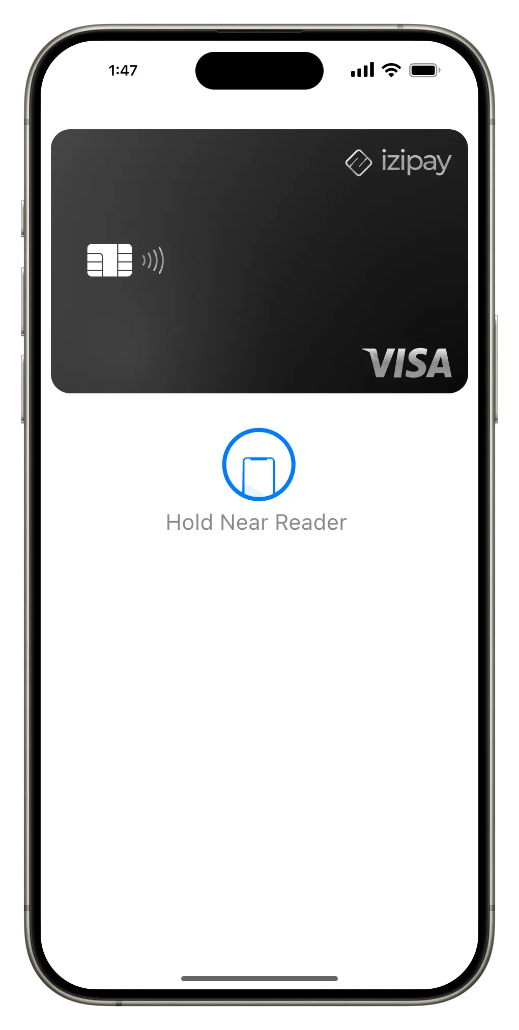 Apple Pay Screen Preview